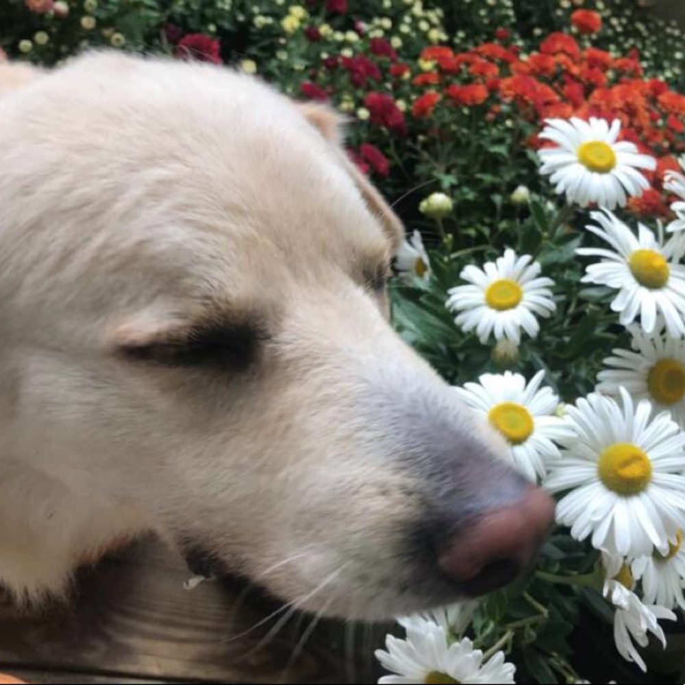 Meet your Posher, Miguel